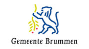 Afbeelding: Brummen