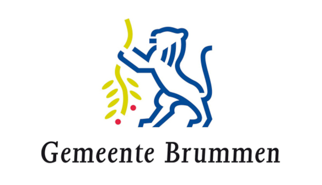 Afbeelding: Brummen